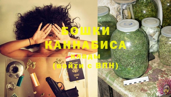винт Гусь-Хрустальный