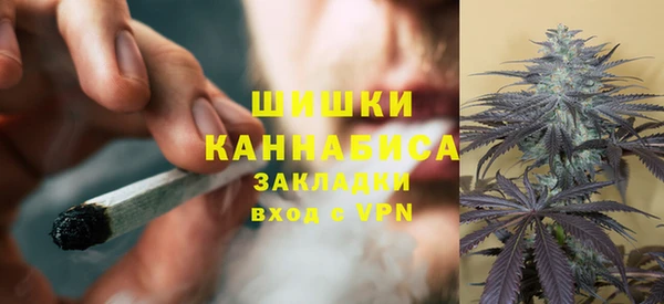 бошки Гусев