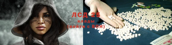 винт Гусь-Хрустальный