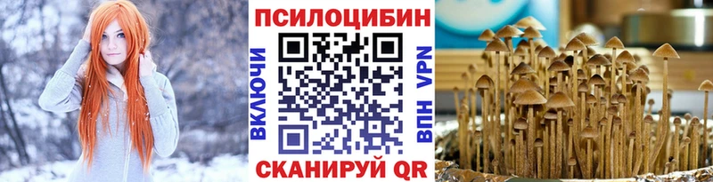 Купить  Свирск  Псилоцибиновые грибы Psilocybe 